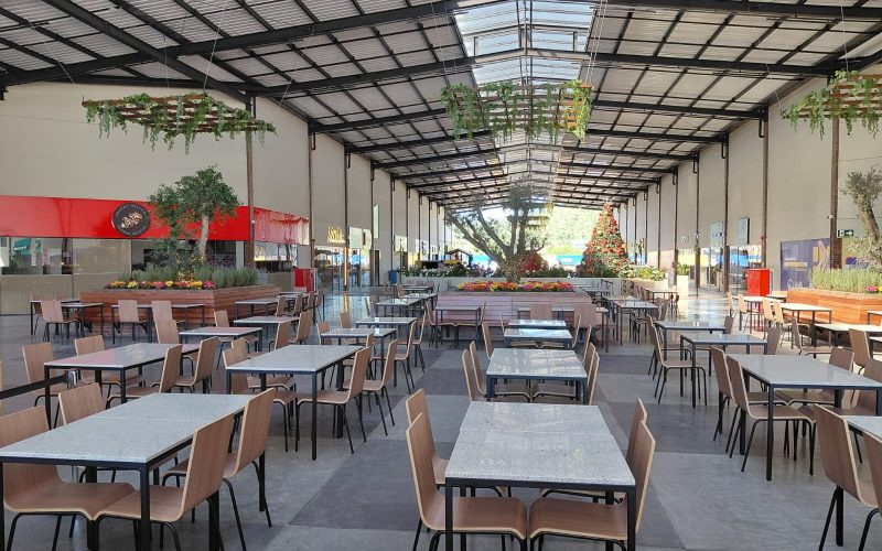 03 Cópia de MSA Geral 7